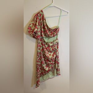 Dee Elly Floral Green and Pink Women's Dress